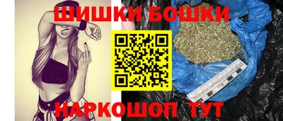 гидра Будённовск
