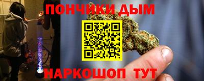гидра Будённовск