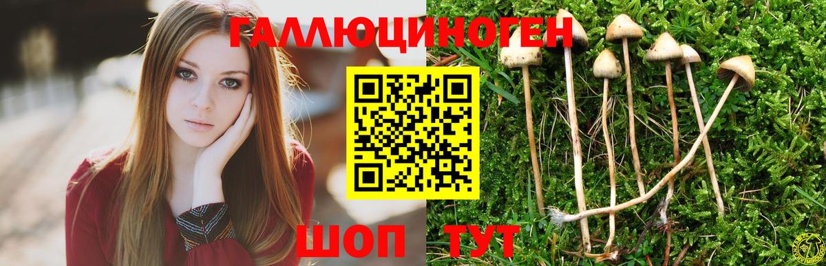 Галлюциногенные грибы ЛСД  Псилоцибиновые грибы прущие грибы  Новосибирск  цена   Вход с VPN 