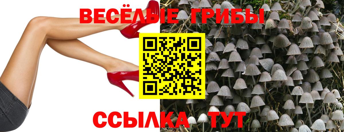 Псилоцибиновые грибы мухоморы Новосибирск