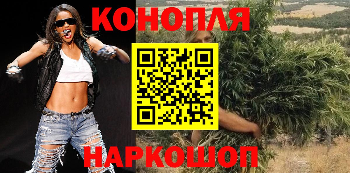 Канабис конопля Новосибирск